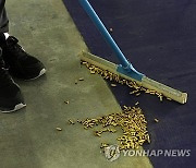 Paris Olympics Shooting