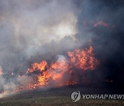 NORTH MACEDONIA WILDFIRES