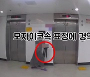 "CCTV 속 악마의 웃음 경악"…이웃에 무료 나눔한 우산 다 쓸어간 여성