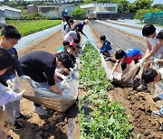 "제주바다 보전에"…구엄초 5학년, 수박농사로 100만원 기탁