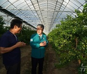 [동정] 산림청장, 폭염대비 임산물 생산현장 살펴