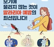 경기도, 파주·김포 이어 고양시에 ‘말라리아 경보’ 발령