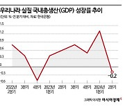 "내수 부진 지속될 것"…금리 인하도 힘 못쓴다