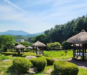 용인시 "농촌테마파크서 시원하게 여름 나세요"