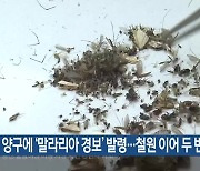 양구에 ‘말라리아 경보’ 발령…철원 이어 두 번째