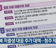 충북 저출생 대응 추가 대책…청주 제외