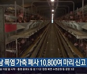 경남 폭염 가축 폐사 10,800여 마리 신고