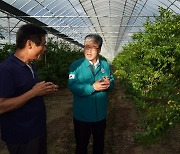 임상섭 산림청장, 폭염 속 임산농가 안전점검...31일 산림청 소식