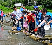 친환경 모기유충 방제위해 미꾸라지 방류해요 [포토뉴스]