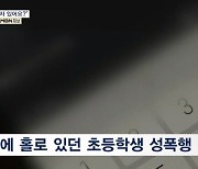 "부모님 없는지 영상통화까지"…12살 초등생 성폭행한 20대 남성들