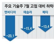 'AI 거품론' 엔비디아, 코인보다 출렁