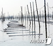 전남도, 수산가공품 생산액 2조원 육박