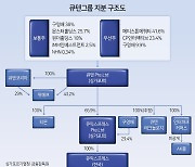 얽히고 설킨 지분구조…티메프 등 계열사가 구영배 대표 ‘개인 금고’ 역할했다? [투자360]