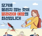 강원 양구군 '말라리아 경보' 발령