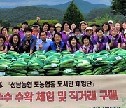 경기 성남농협, 도시민체험단과 여주 북내농협서 옥수수 수확 체험과 직거래