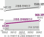 “생활비 벌어야”… 일하는 노인 59% 역대 최고