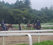 말타고 제주를 즐겨봐… 이색 승마관광체험 상품이 뜬다