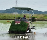 당진시, 가루 쌀 생산단지 지원사업 추진