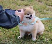 반려동물 마음까지 챙기는 ‘펫 토털 웰니스케어’ 관심 [weekend 반려동물]