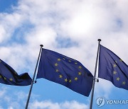 EU, '세계 최초' AI 규제법 발효...차등 규제 이뤄진다