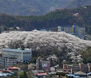 “폭염 속 열섬 완화”…산림청 ‘아름다운 도시숲 50선’ 선정