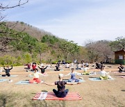 '한국판 발리 우붓' 홍천 선마을, 여름 휴가철 요가·명상 선봬