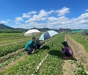 밀양시, 폭염·온열 인명피해 '제로화'에 나섰다