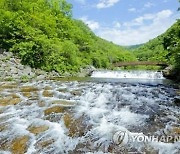 "시원한 계곡서 무더위 날려요" 장수 쿨밸리페스티벌 2일 개막