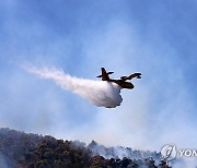 GREECE WILDFIRE