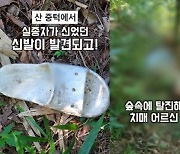 폭염 속 산에서 6일 버틴 70대 치매 노인..."숲속 물 먹고 버텨"