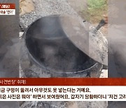 [사반 제보]'가마솥 사체' 고라니라더니...목졸라 죽인 '반려견'이었다