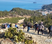 완도군 '2050 탄소중립·녹색 성장' 로드맵 수립…신재생에너지 확대