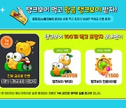 포트리스와 탱크보이가 만났다… 뉴트로 방식 이색 이벤트 화제