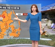 [날씨] 강릉 아침 최저 31.4도‥114년 관측 사상 역대 최고