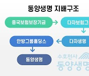 中 다자보험, 동양·ABL생명 매각 속도 낼까