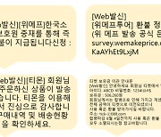 티메프 환불 빙자한 스미싱·피싱 주의…금감원 ‘소비자 경보’ 발령