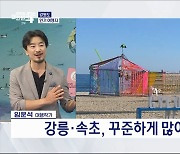 꼭 가봐야 하는 국내여행, 해외 같은 '강원도'로 가자! [여행대담]