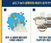 올림픽 야식, 상온 보관 안돼요...2시간 내에 먹어야