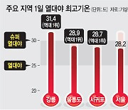 서울 27도이상 열대야 ‘평년 5배’… 강릉은 밤최저 31.4도 ‘최고기록’