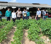 충남 당진 과수화상병 농가 찾은 권재한 농촌진흥청장