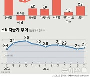 7월 소비자물가 2.6% 상승…한은 "다시 둔화 흐름 예상"