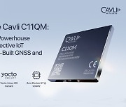 카블리, 신규 모듈 ‘Cavli C11QM’ 공개… 내장형 GNSS 및 SDK 기능으로 비용 효율적 IoT 시스템 구축을 재창조하는 콤팩트하면서도 강한 LTE Cat 1 제품