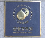 티메프 환불 빙자 사기까지…금감원, 소비자경보 발령