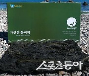 경북도, 동해 특산 자연산 돌미역 5600상자 임산부에 제공