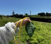 '자연에서 부모와 함께' 제주 초교생 마음치유 프로그램