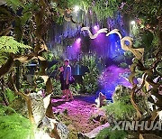 SINGAPORE-GARDEN FESTIVAL-MEDIA PREVIEW