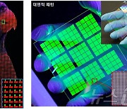 IBS·UNIST, 양자점 디스플레이 인쇄기술 개발…초고해상도·발광효율 ↑