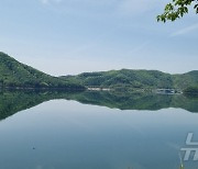 용담댐 녹조 '관심단계'…전북도, 확산방지 대응 나서