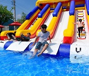 "폭염 두렵지 않아요" 휴가절정 강원 축제장·관광지 마다 피서객 행렬