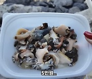 "제주라서 이게 5만원?"…바가지 용두암 노점상 결국